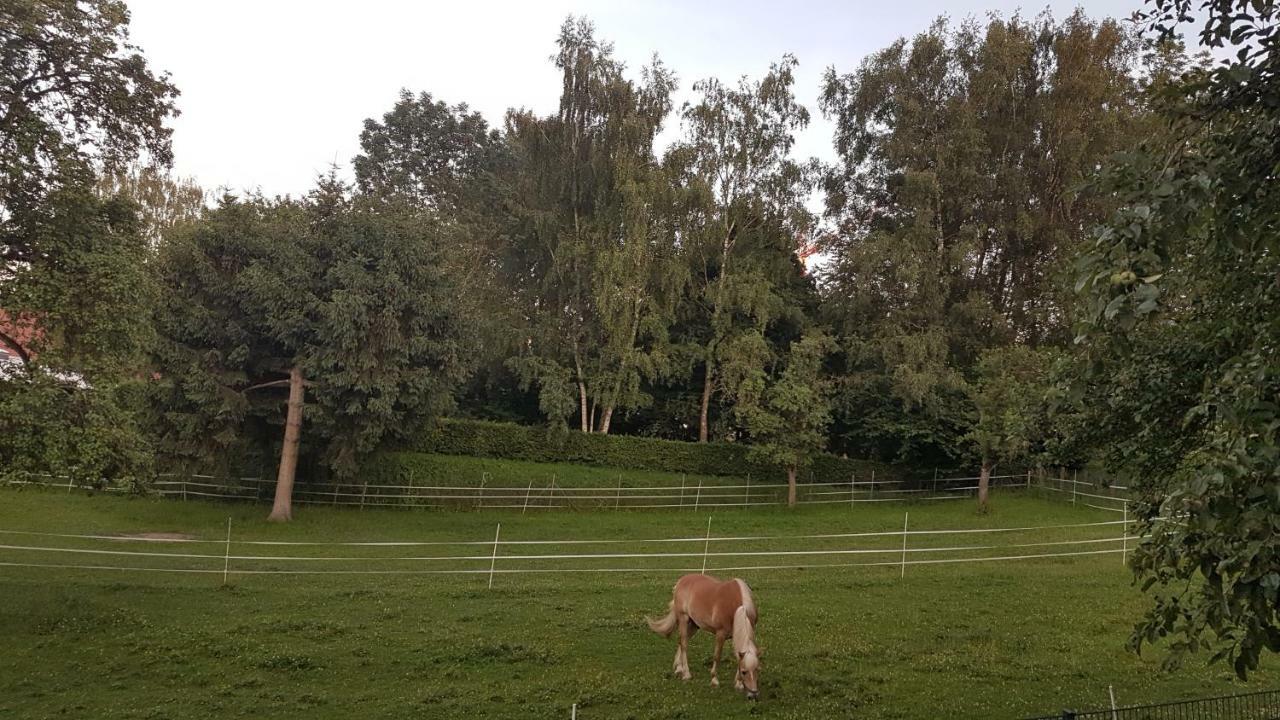 Ferienwohnung Sonnenschein Бурґау Екстер'єр фото